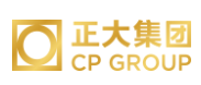 北辰正大集团